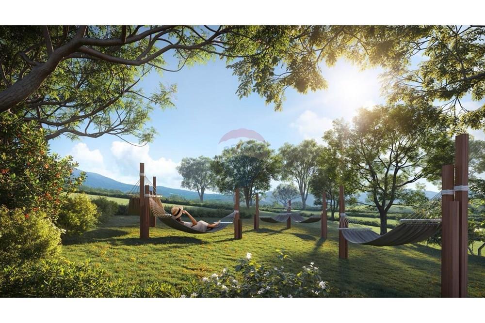 Terreno - Venda - Caraíbas , Bahia - WhatsApp Image 2026-03-25 at 19.33.38 (2).jpeg - 580831037-4