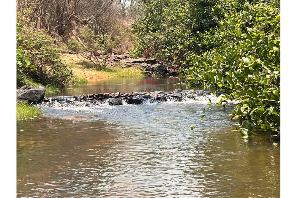 Fazenda - Venda - Aroazes , Piauí - Imagem do WhatsApp de 2025-09-30 à(s) 12.10.29_8f75ddb1.jpg - 580791016-19