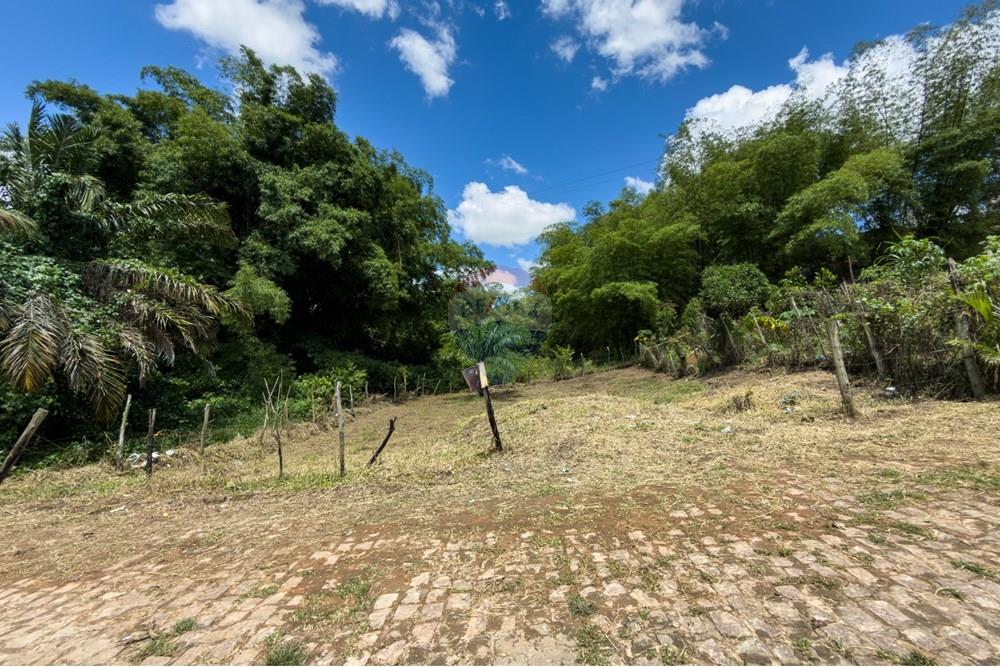 Terreno - Venda - Santo Antônio de Jesus , Bahia - IMG_0445.jpg - 580341046-28