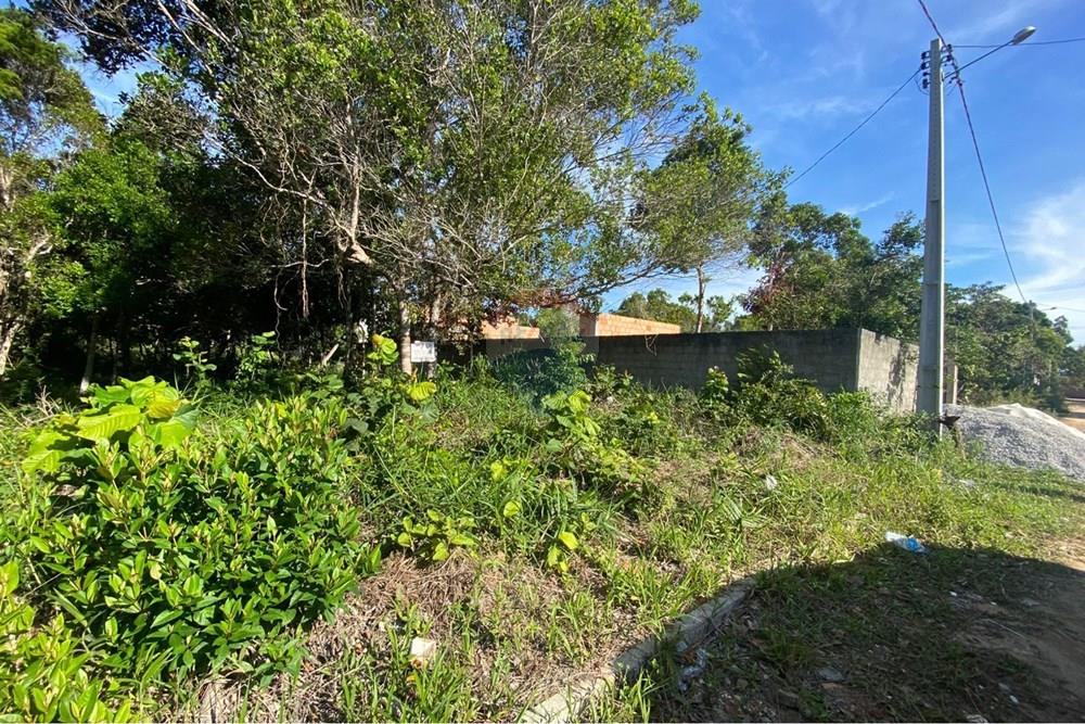 Terreno - Venda - Porto Seguro , Bahia - WhatsApp Image 2026-03-24 at 15.24.45.jpeg - 580581018-56