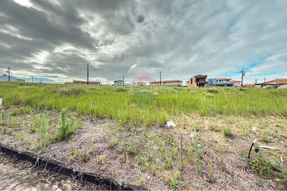 Terreno - Venda - Santo Antônio de Jesus , Bahia - IMG_8588.jpg - 580341053-18