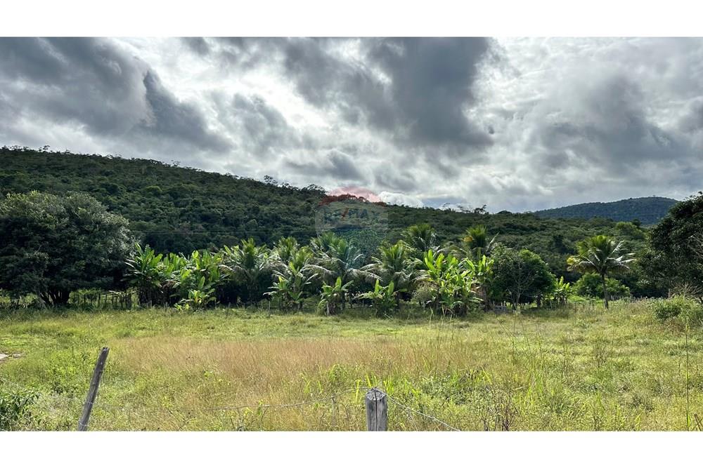 Chácara / Sítio / Fazenda - Venda - Jequié , Bahia - image00051.jpeg - 580731023-59