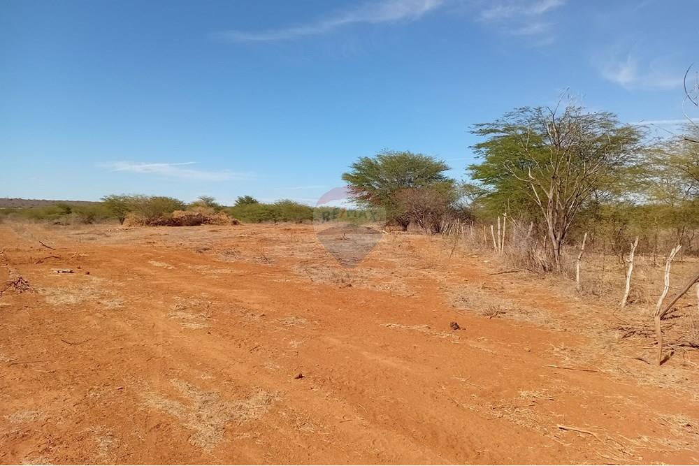 Terreno - Venda - Irecê , Bahia - 20250820_145809.jpg - 580841013-26