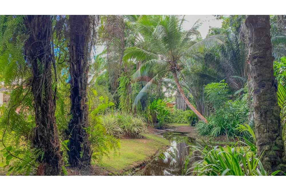 Casa de Condomínio - Venda - Camaçari , Bahia - BUSCA VIDA-81.jpg - 580781001-92