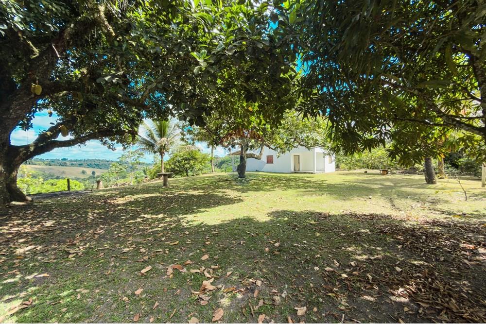 Chácara / Sítio / Fazenda - Venda - Santo Antônio de Jesus , Bahia - IMG_2393.jpg - 580341015-104