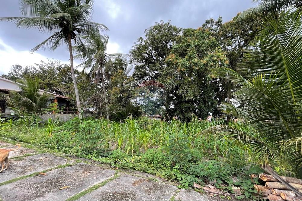 Terreno - Venda - Alagoinhas , Bahia - IMG_8941.jpeg - 580701044-52