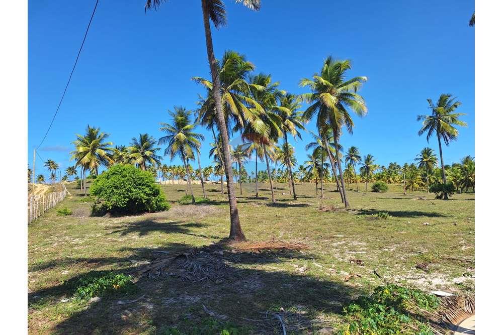 Terreno - Venda - Conde , Bahia - 1027f73e-fb90-450a-aae9-1f098bdf651a.jpg - 580691012-123