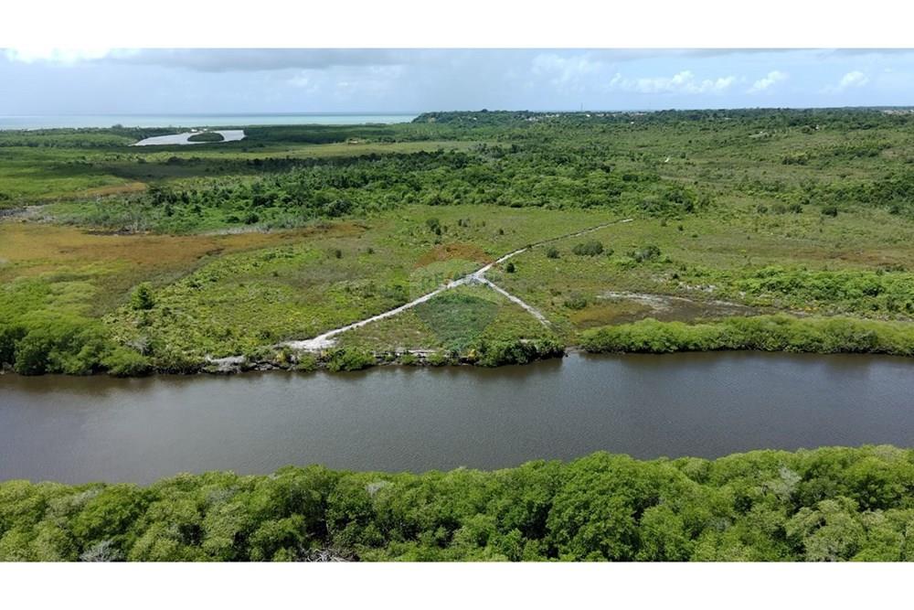 Agro - Venda - Santa Cruz Cabrália , Bahia - IMG-20250309-WA0017.jpg - 580581034-56