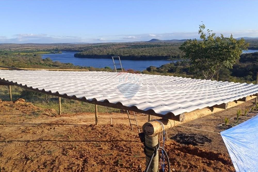 Chácara / Sítio / Fazenda - Venda - Caraíbas , Bahia - WhatsApp Image 2025-06-10 at 14.42.04 (2).jpeg - 580831002-114