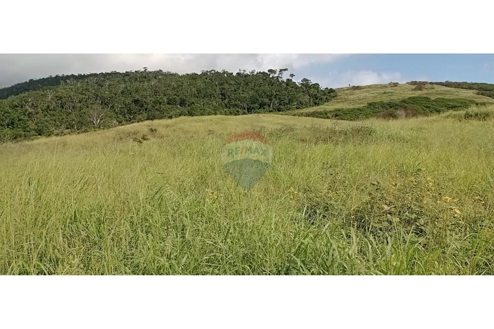 Chácara / Sítio / Fazenda - Venda - Jequié , Bahia - IMG-20240614-WA0270.jpg - 580731023-47