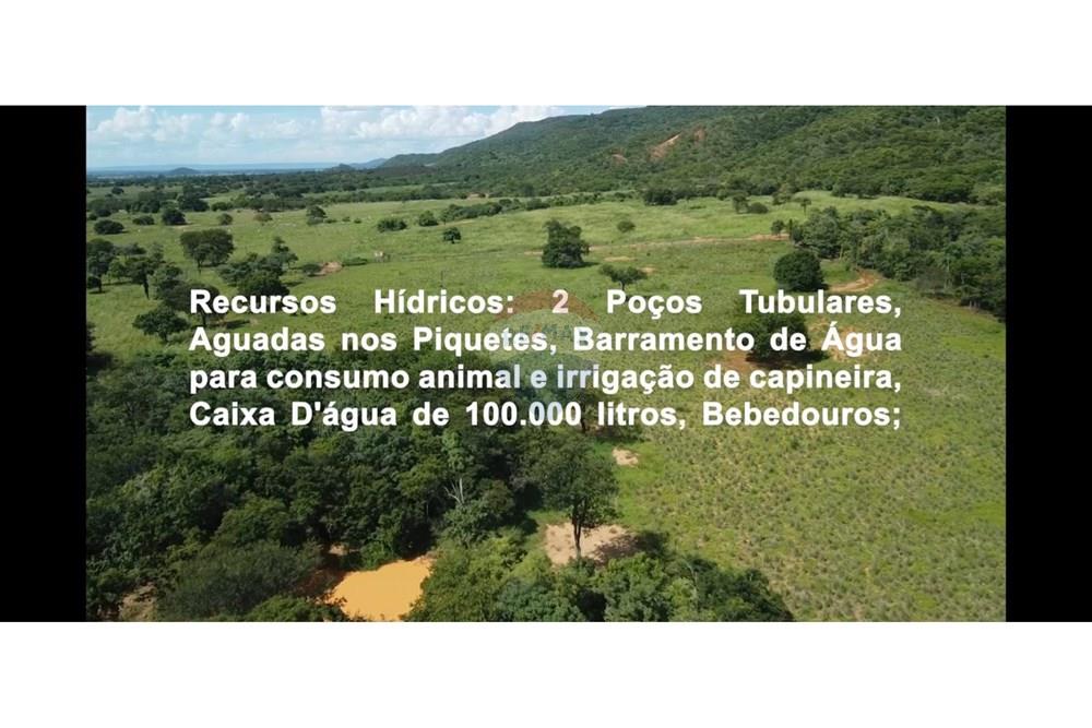 Fazenda - Venda - Wanderley , Bahia - WhatsApp Image 2026-03-24 at 17.30.01 (4).jpeg - 580791016-28