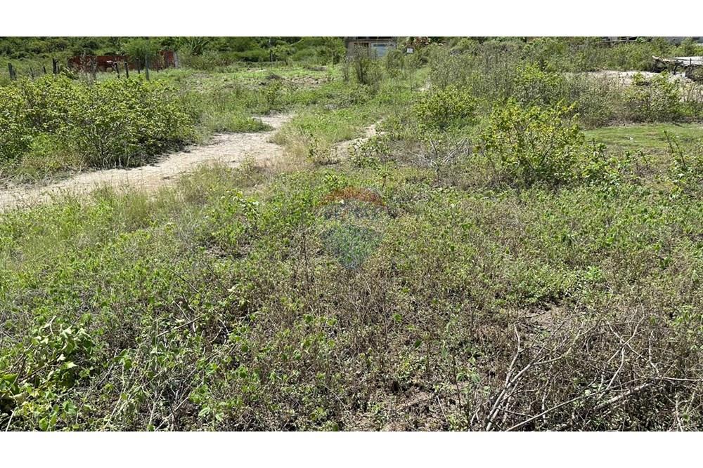 Terreno - Venda - Jequié , Bahia - 04.jpg - 580731024-14