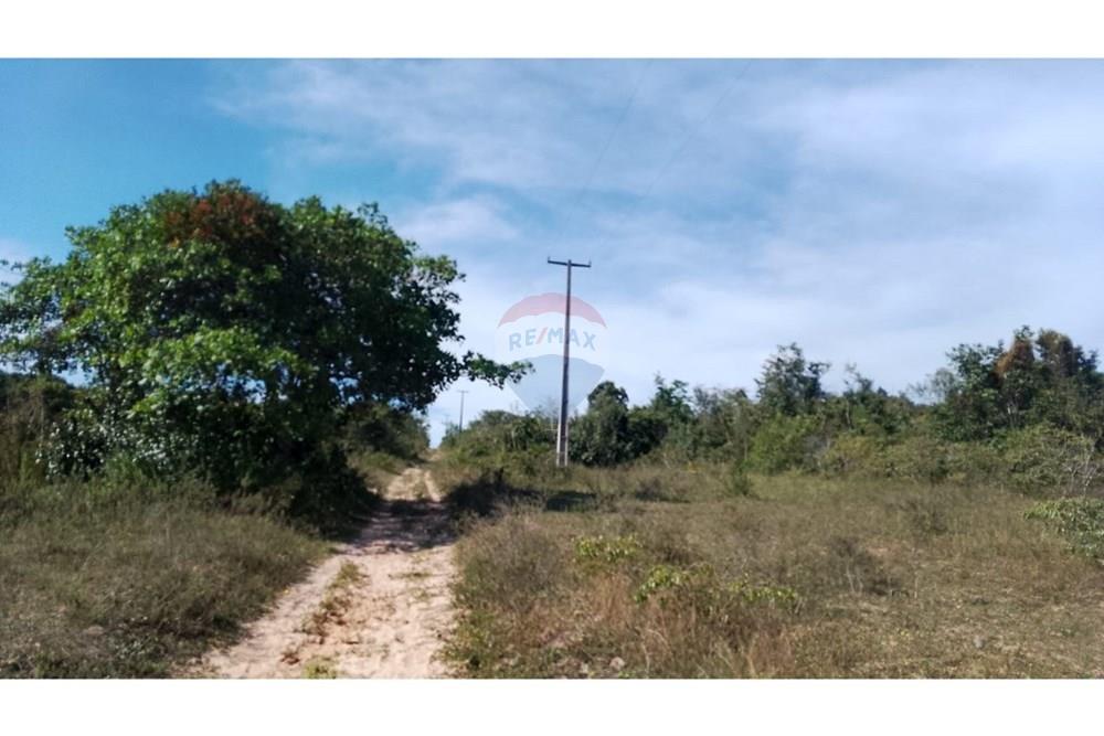 Chácara / Sítio / Fazenda - Venda - Alagoinhas , Bahia - WhatsApp Image 2025-11-09 at 19.23.29 (2).jpeg - 580701044-55