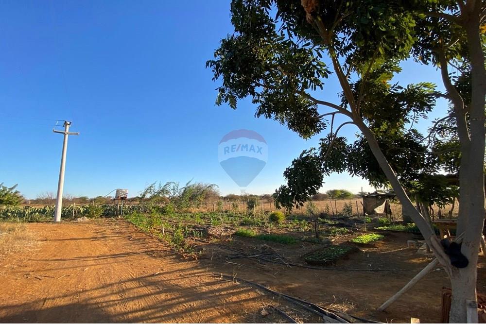 Terreno - Venda - Irecê , Bahia - 5d3ac105-8ea0-4137-86cf-911b0b716060.jpeg - 580841008-85