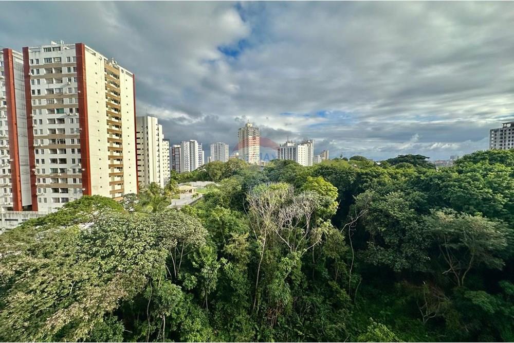 Apartamento - Venda - Salvador , Bahia - WhatsApp Image 2025-07-28 at 18.41.44.jpeg - 580551067-96
