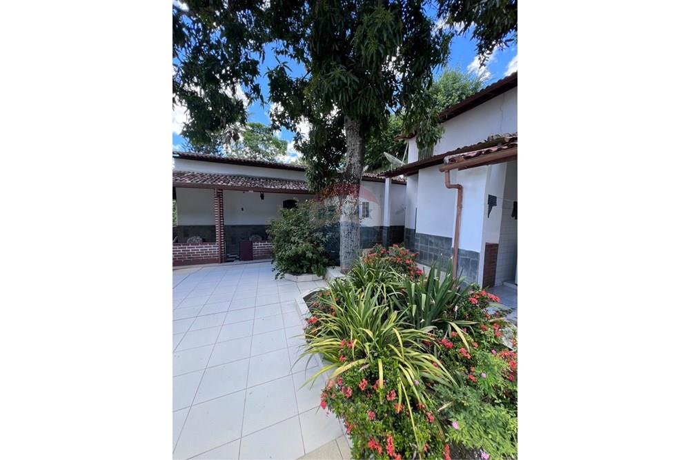 Chácara / Sítio / Fazenda - Venda - São Félix , Bahia - IMG_2037.jpeg - 580691023-29