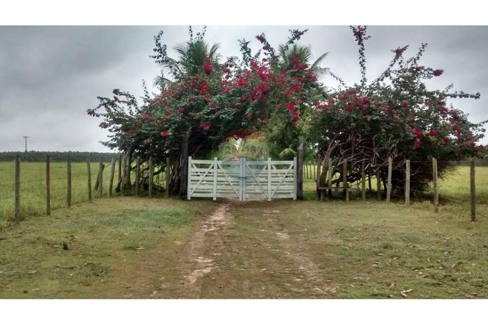 Chácara / Sítio / Fazenda - Venda - Teixeira de Freitas , Bahia - WhatsApp Image 2024-05-13 at 16.09.18.jpeg - 580411003-292