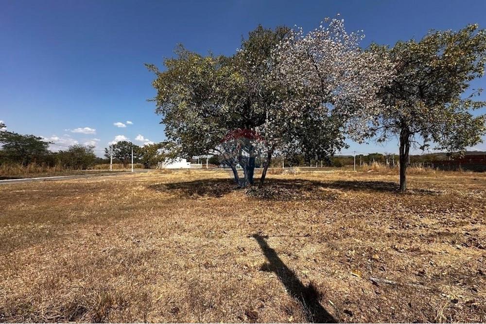 Residential - Land - Barreiras , Bahia - BR - IMG-20241117-WA0008.jpg - 580651049-89