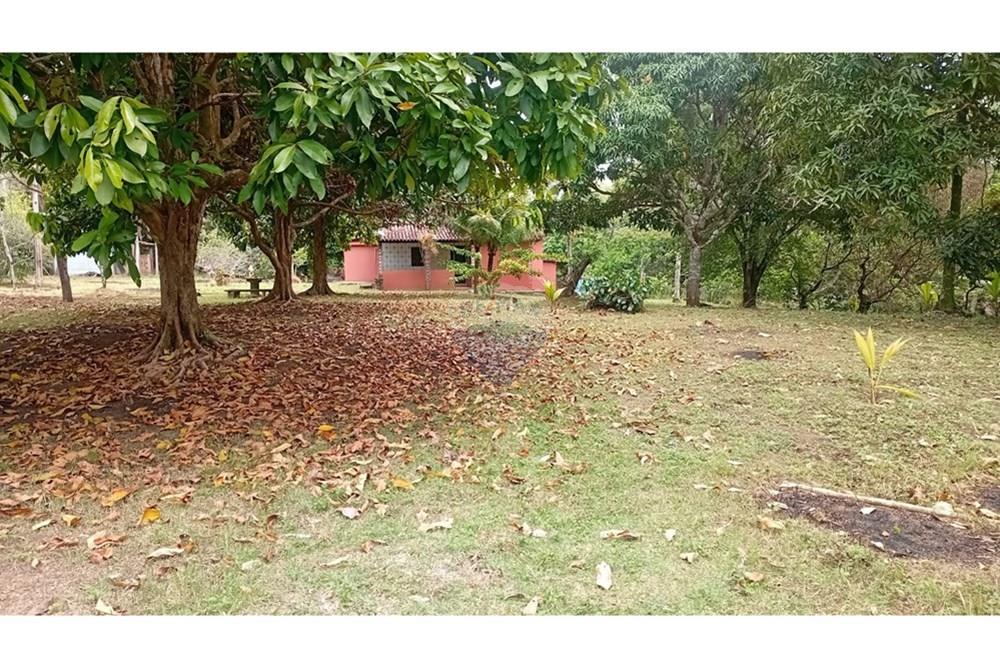 Chácara / Sítio / Fazenda - Alugar - Camaçari , Bahia - WhatsApp Image 2025-10-15 at 14.32.52.jpeg - 580331013-753