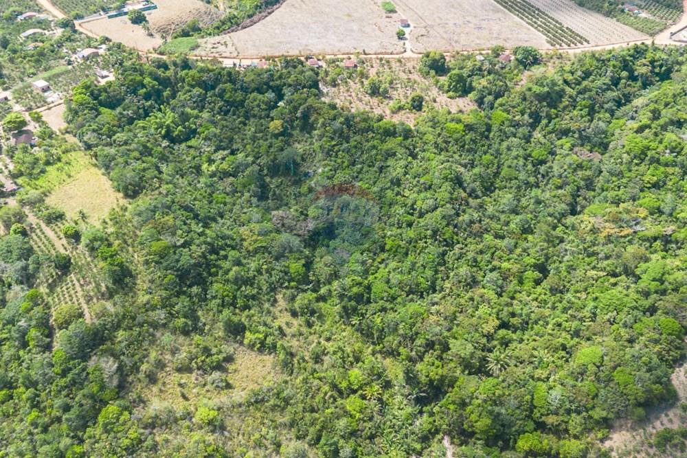 Chácara / Sítio / Fazenda - Venda - Santo Antônio de Jesus , Bahia - DJI_0763.jpg - 580341054-35