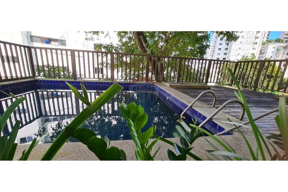 Apartamento - Canela