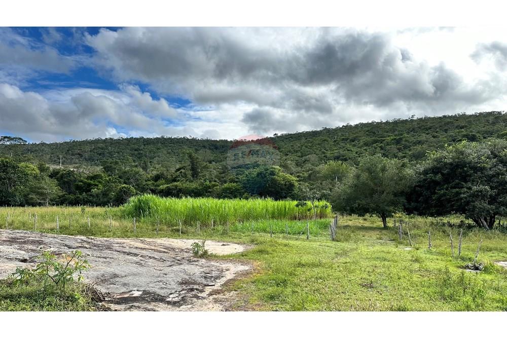 Chácara / Sítio / Fazenda - Venda - Jequié , Bahia - image00052.jpeg - 580731023-59