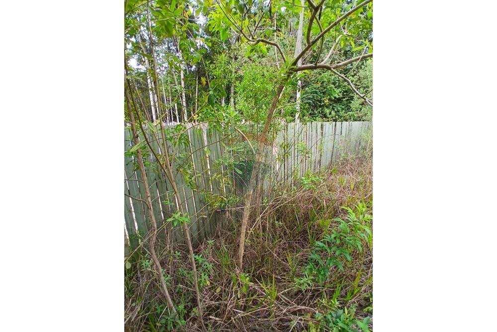 Terreno - Venda - Porto Seguro , Bahia - bela vista (2).jpeg - 580581006-79