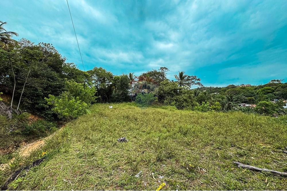 Terreno - Venda - Cairu , Bahia - IMG_2641.jpg - 580341015-105