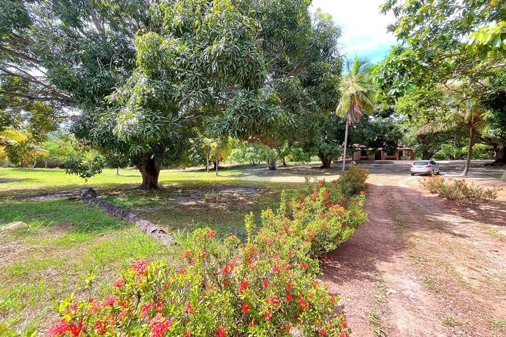 Terreno - Venda - Camaçari , Bahia - IMG_4519.jpg - 580491001-75