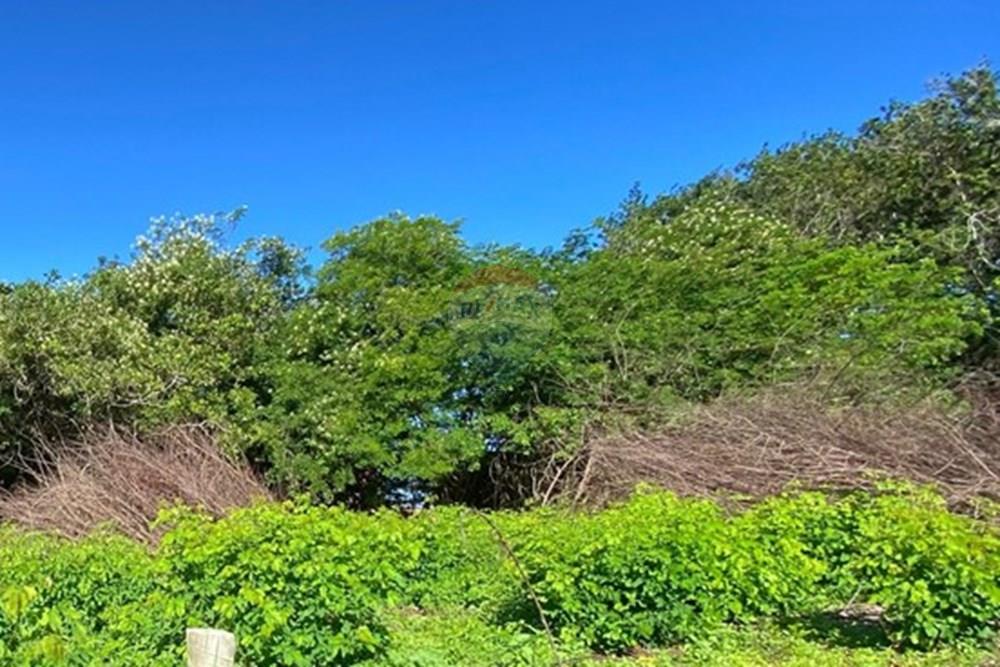 Terreno - Venda - Mata de São João , Bahia - 4df22613-4821-4aef-a2e4-abdafa6b044f.jpg - 580601014-79