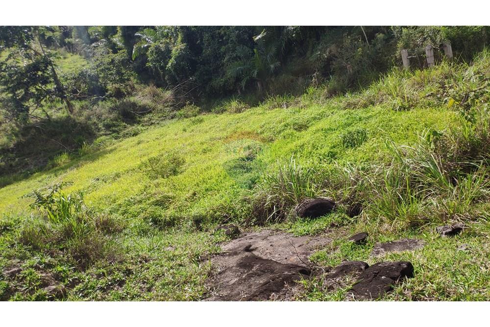 Chácara / Sítio / Fazenda - Venda - Jequié , Bahia - 32.jpg - 580731023-74