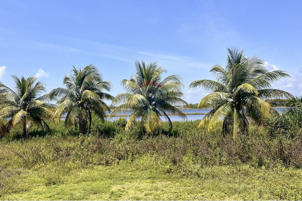 Casa - Venda - Entre Rios , Bahia - IMG_3017.jpg - 580491009-103