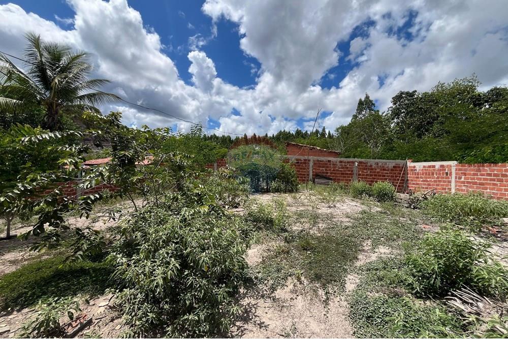 Chácara / Sítio / Fazenda - Venda - Alagoinhas , Bahia - IMG-20250220-WA0045.jpg - 580701026-35