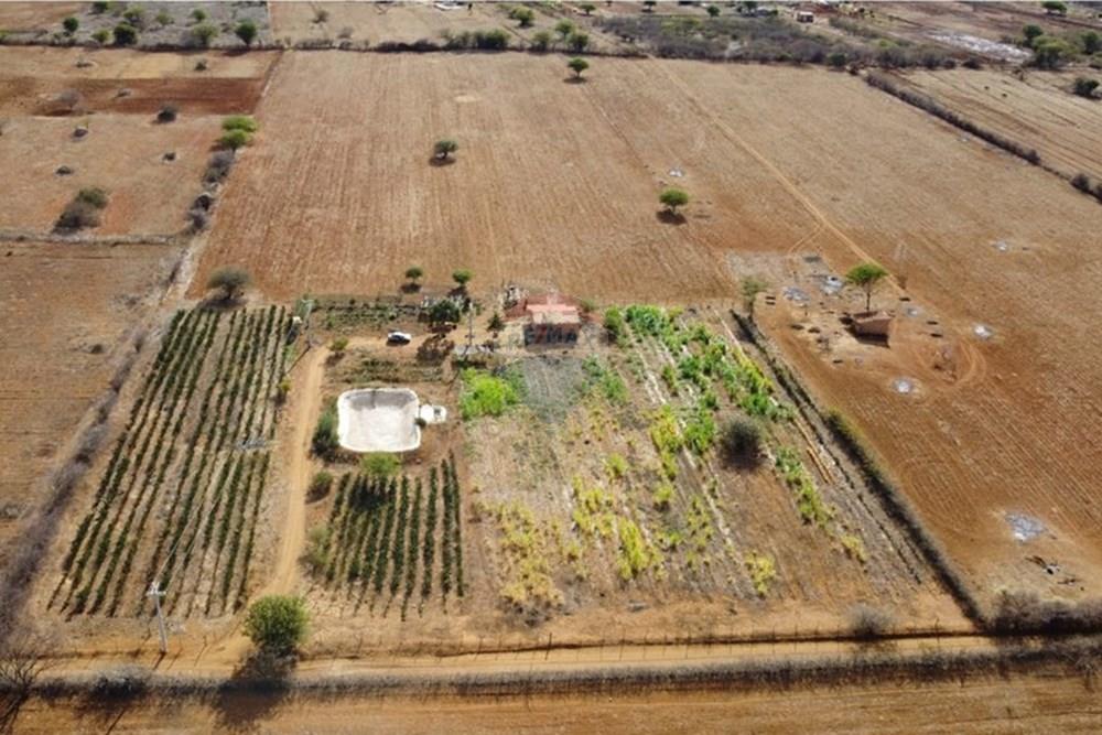 Terreno - Venda - Irecê , Bahia - 0d8db44a-5c5c-4b09-8fe2-9862a79d2c3d.jpeg - 580841008-85