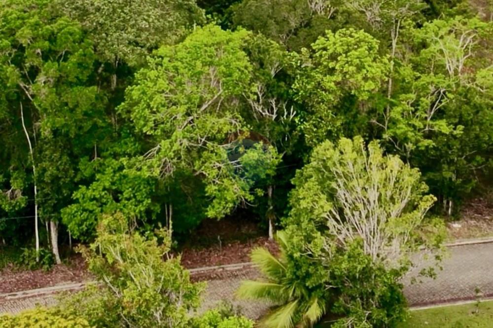 Terreno - Venda - Porto Seguro , Bahia - WhatsApp Image 2026-01-14 at 13.36.12 (3).jpeg - 580581012-107