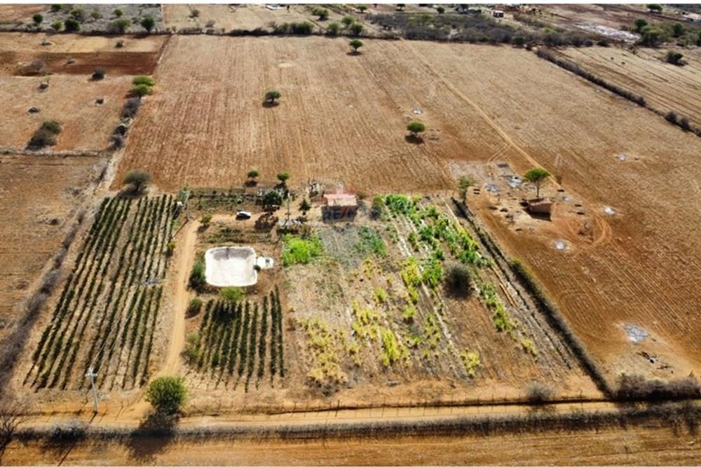 Terreno - Venda - Irecê , Bahia - d52fa1ab-7c51-4e37-80f5-d6965699f549.jpeg - 580841008-85