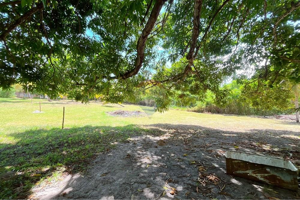 Terreno - Venda - Camaçari , Bahia - IMG_4749.jpg - 580491001-74