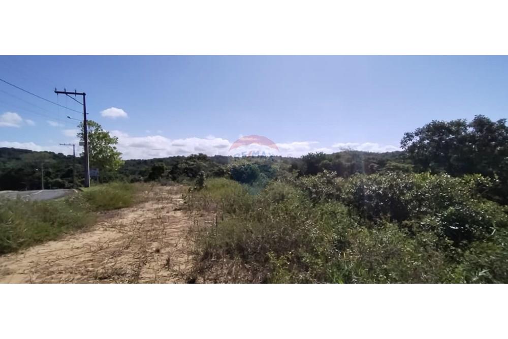 Terreno - Venda - Ilhéus , Bahia - foto (9).jpeg - 580731041-13