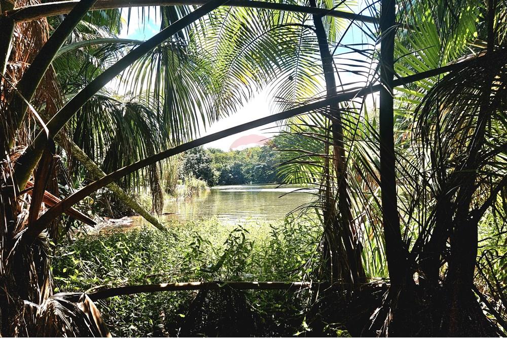 Casa de Condomínio - Venda - Lauro de Freitas , Bahia - 20250818_121244.jpg - 580491027-123