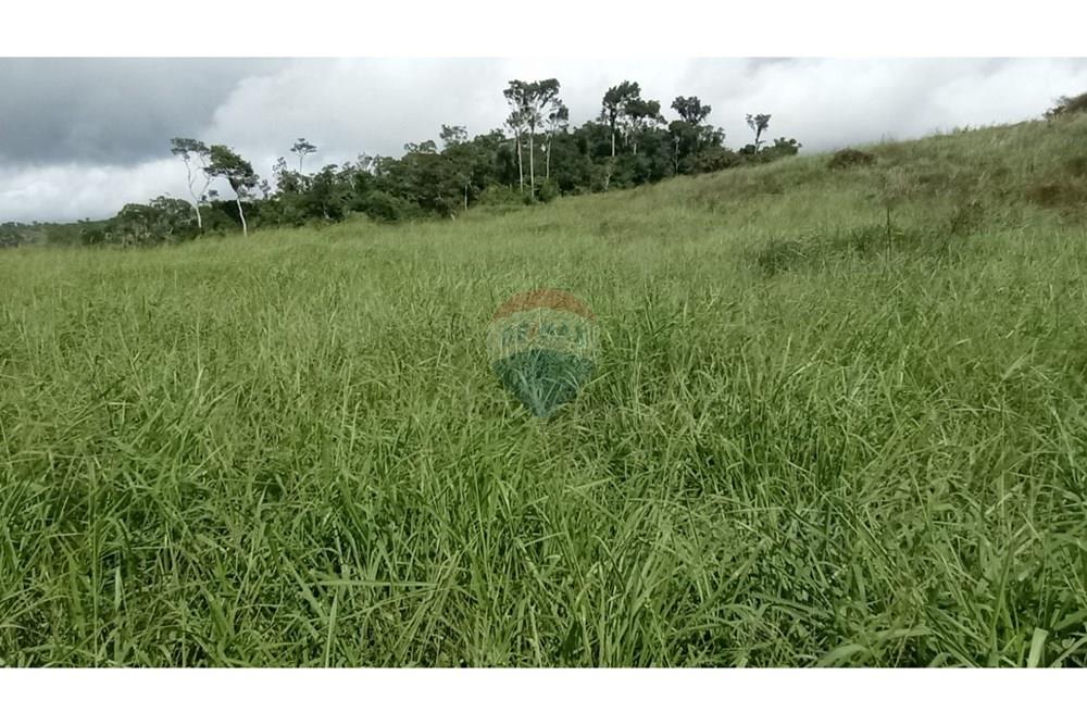 Chácara / Sítio / Fazenda - Venda - Jequié , Bahia - IMG-20240614-WA0267.jpg - 580731023-47