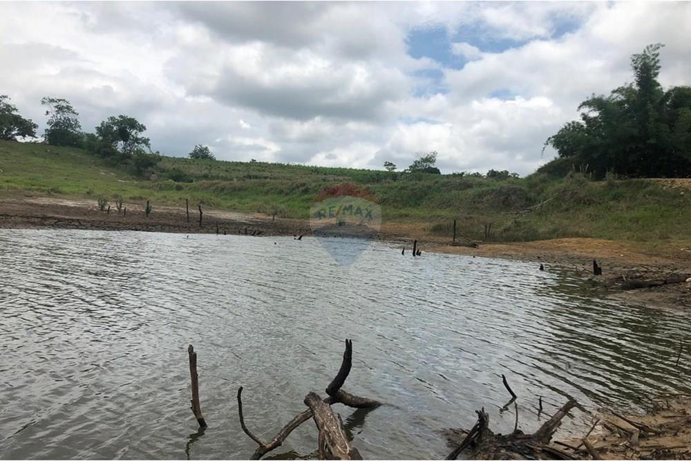 Chácara / Sítio / Fazenda - Venda - Vitória da Conquista , Bahia - WhatsApp Image 2025-05-29 at 14.13.46 (1).jpeg - 580831002-80