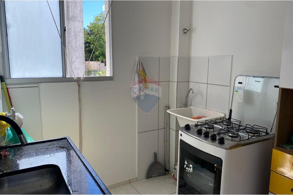 Apartamento - Venda - Camaçari , Bahia - WhatsApp Image 2025-09-16 at 19.40.45.jpeg - 580421065-28