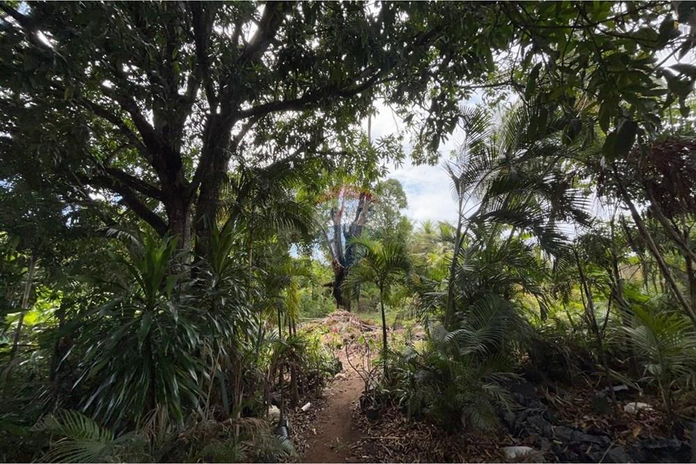 Chácara / Sítio / Fazenda - Venda - Salvador , Bahia - WhatsApp Image 2026-01-15 at 11.46.43.jpeg - 580721041-2