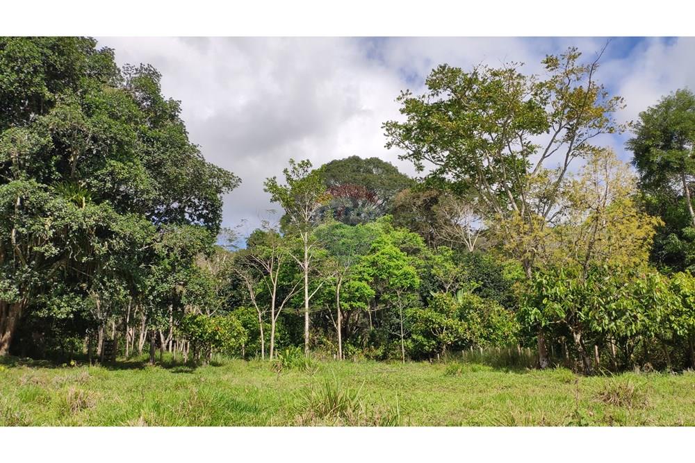 Chácara / Sítio / Fazenda - Venda - Jequié , Bahia - 31.jpg - 580731023-74