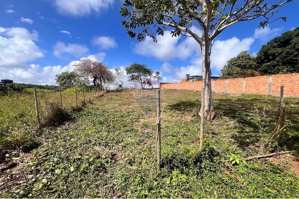 Residential - Lupa - Camaçari , Bahia - BR - IMG_2933.jpg - 580491009-99