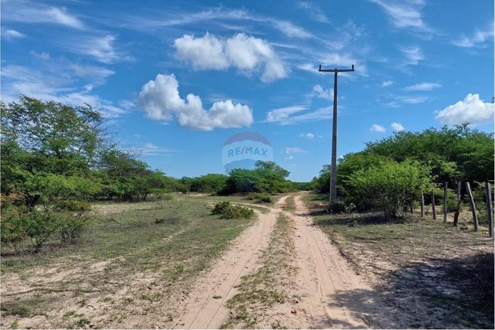 Chácara / Sítio / Fazenda - Venda - Ibotirama , Bahia - bd601da4-957c-4807-85f0-2caaf8794445.jpg - 580831002-154