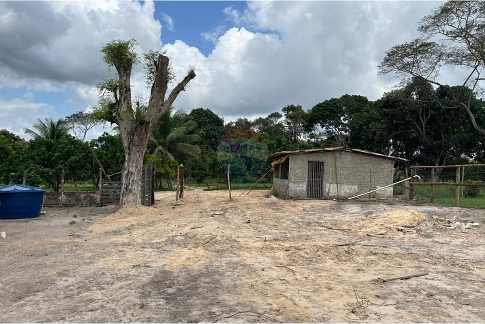 Chácara / Sítio / Fazenda - Venda - Alagoinhas , Bahia - WhatsApp Image 2025-10-16 at 11.19.29 (2).jpeg - 580701011-7