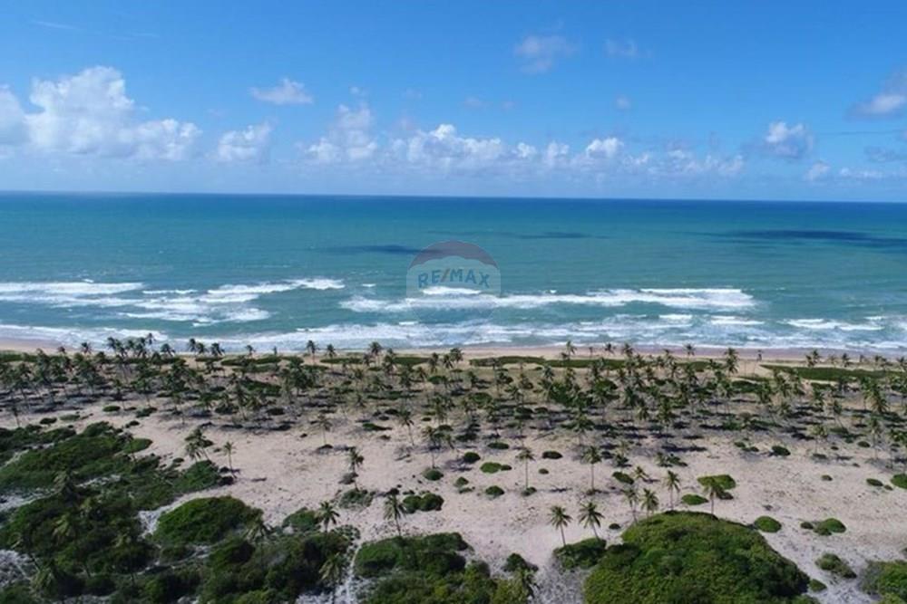 Terreno - Venda - Entre Rios , Bahia - WhatsApp Image 2025-04-09 at 08.14.12(2).jpeg - 580701006-45