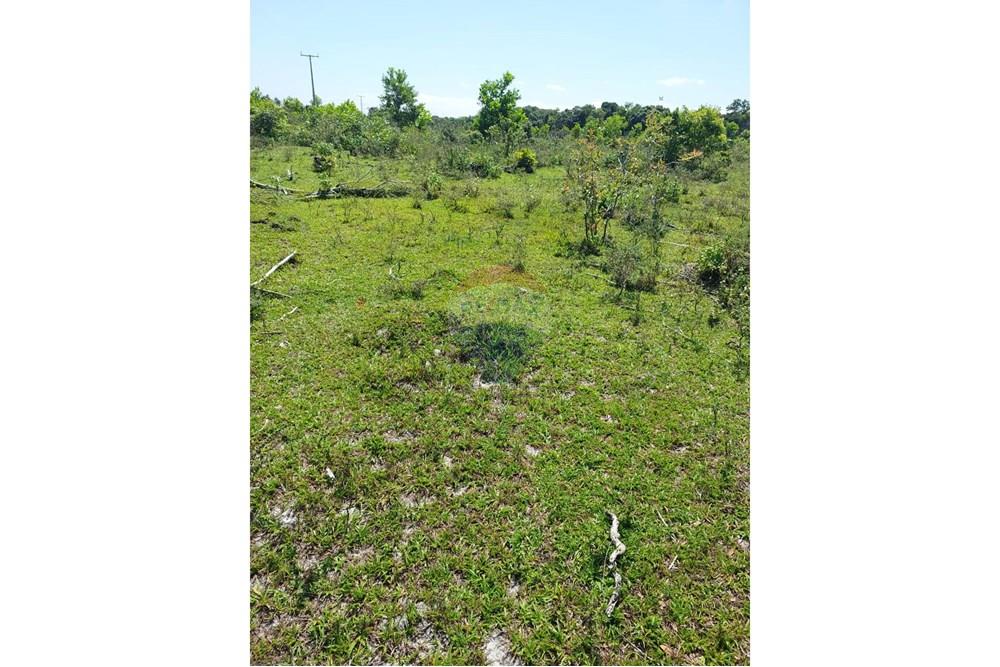 Chácara / Sítio / Fazenda - Venda - Caravelas , Bahia - WhatsApp Image 2025-07-11 at 09.20.08 (2).jpeg - 580411006-269