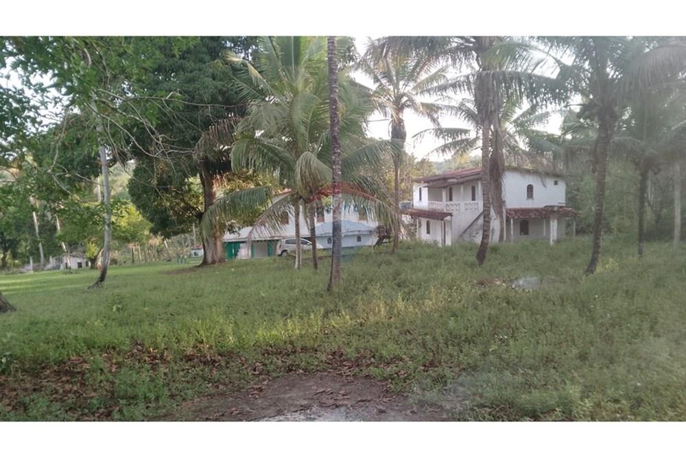 Chácara / Sítio / Fazenda - Venda - Alagoinhas , Bahia - WhatsApp Image 2025-11-09 at 19.24.50 (1).jpeg - 580701044-55